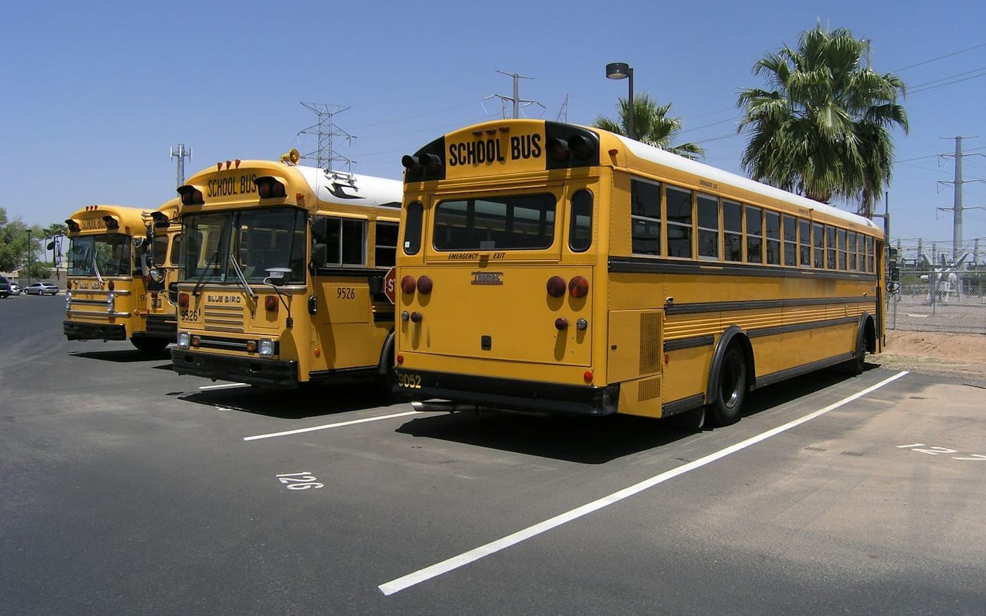 A row of yellow school buses parked in a lot on a clear day